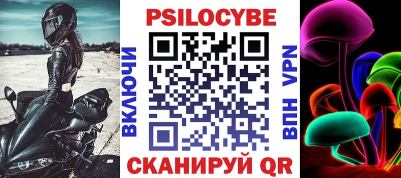 Псилоцибиновые грибы Psilocybine cubensis  Ярославль 